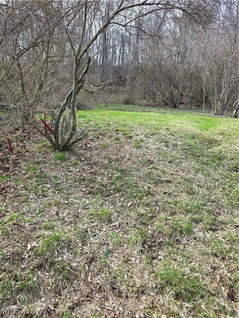 Iroquois Trail Property Photo 13