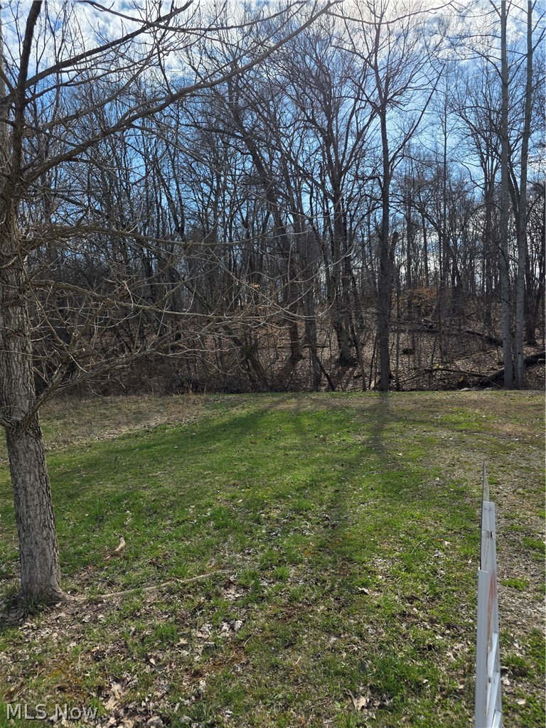 Iroquois Trail Property Photo 14