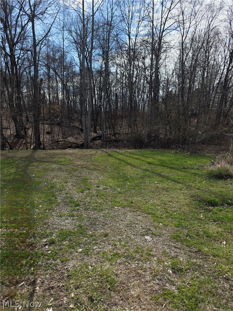 Iroquois Trail Property Photo 15