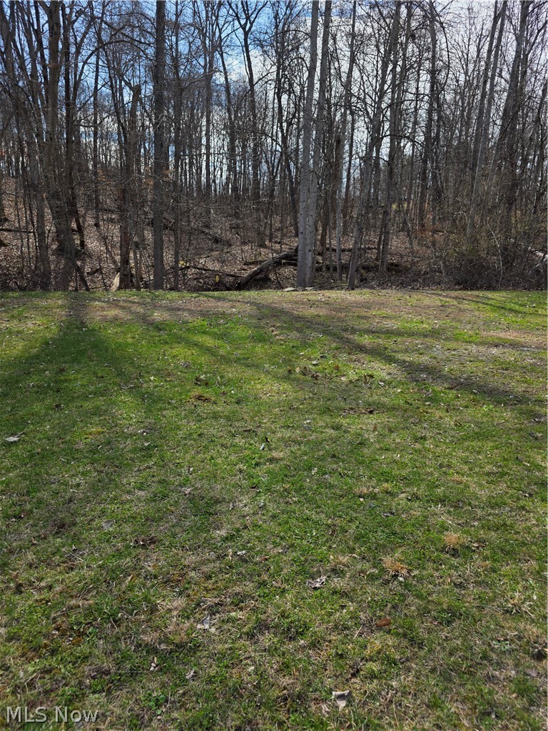 Iroquois Trail Property Photo 19