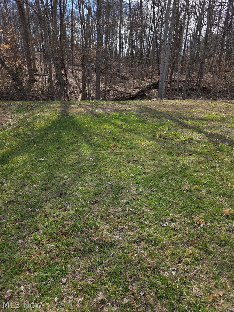 Iroquois Trail Property Photo 20