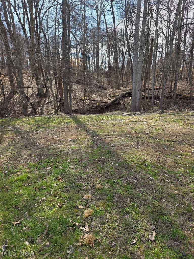 Iroquois Trail Property Photo 21