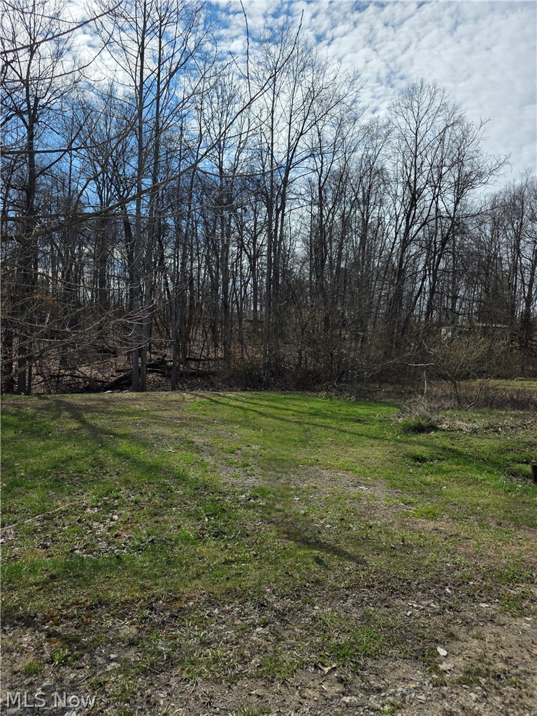 Iroquois Trail Property Photo 26