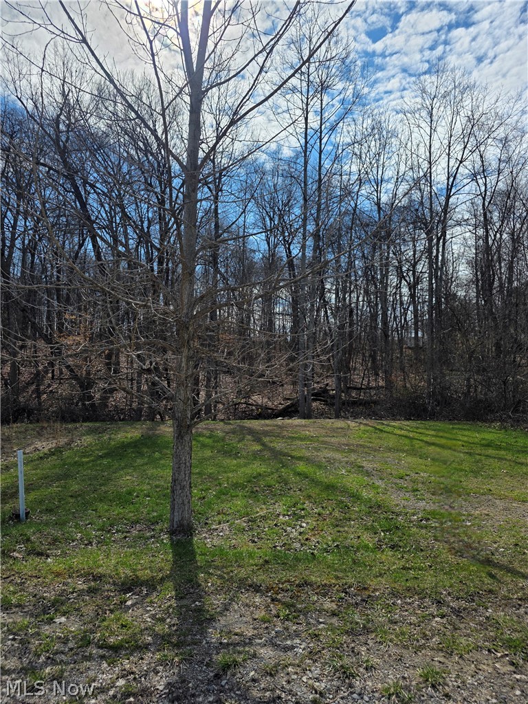 Iroquois Trail Property Photo 27