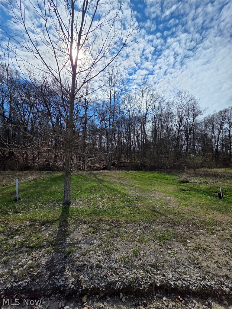 Iroquois Trail Property Photo 28