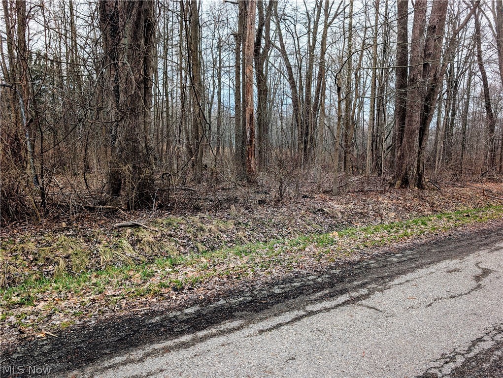 Magnolia Drive Property Photo 3