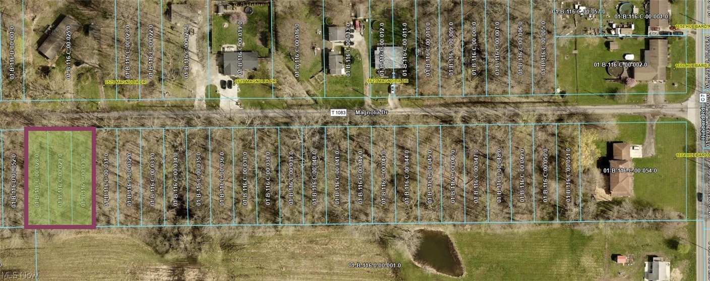 Magnolia Drive 7 Property Photo 4