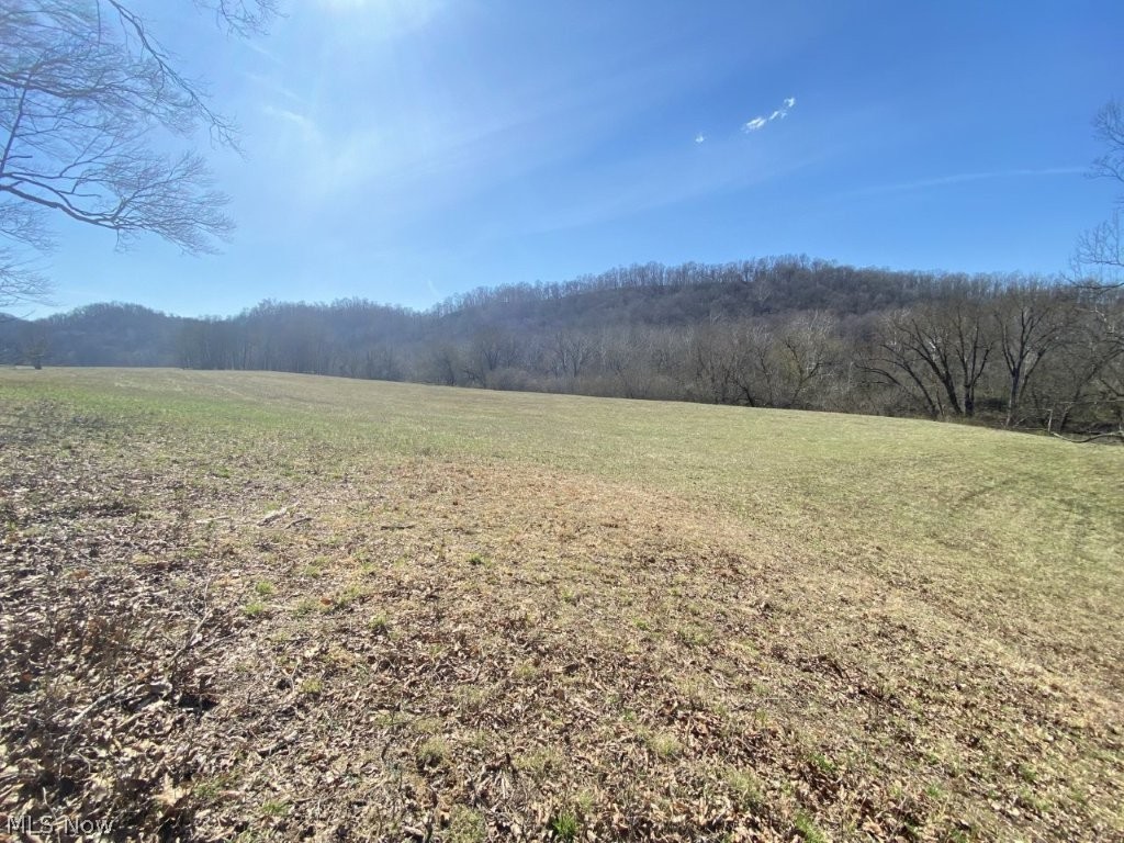 988 Young Lane Property Photo 10