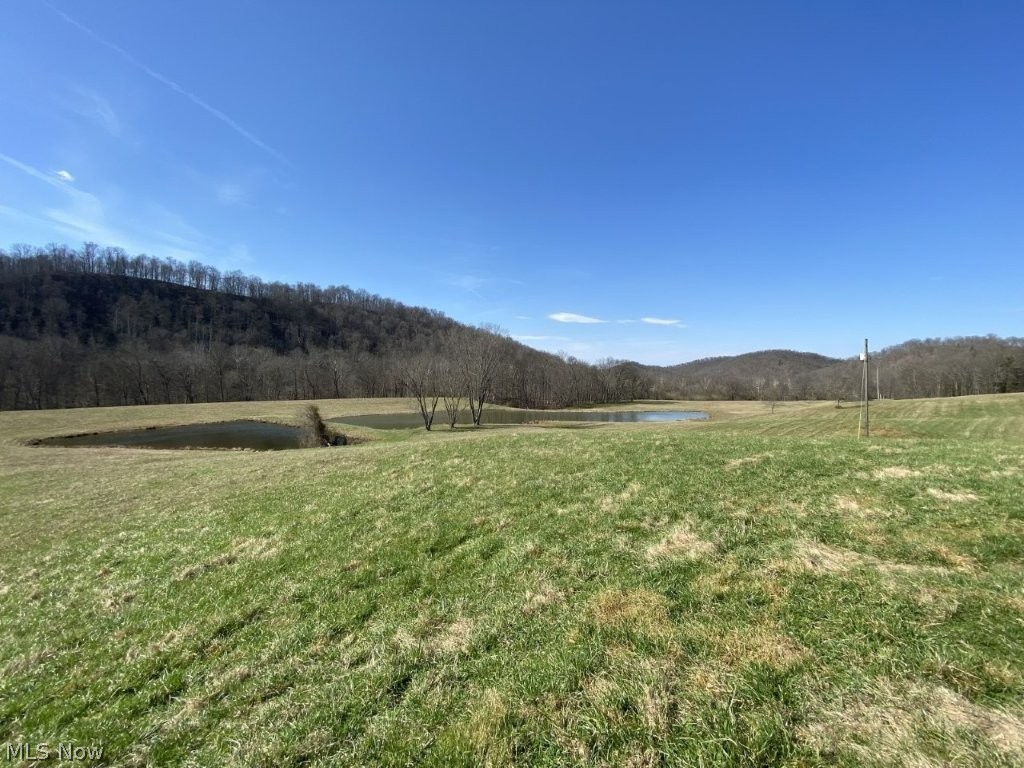 988 Young Lane Property Photo 18