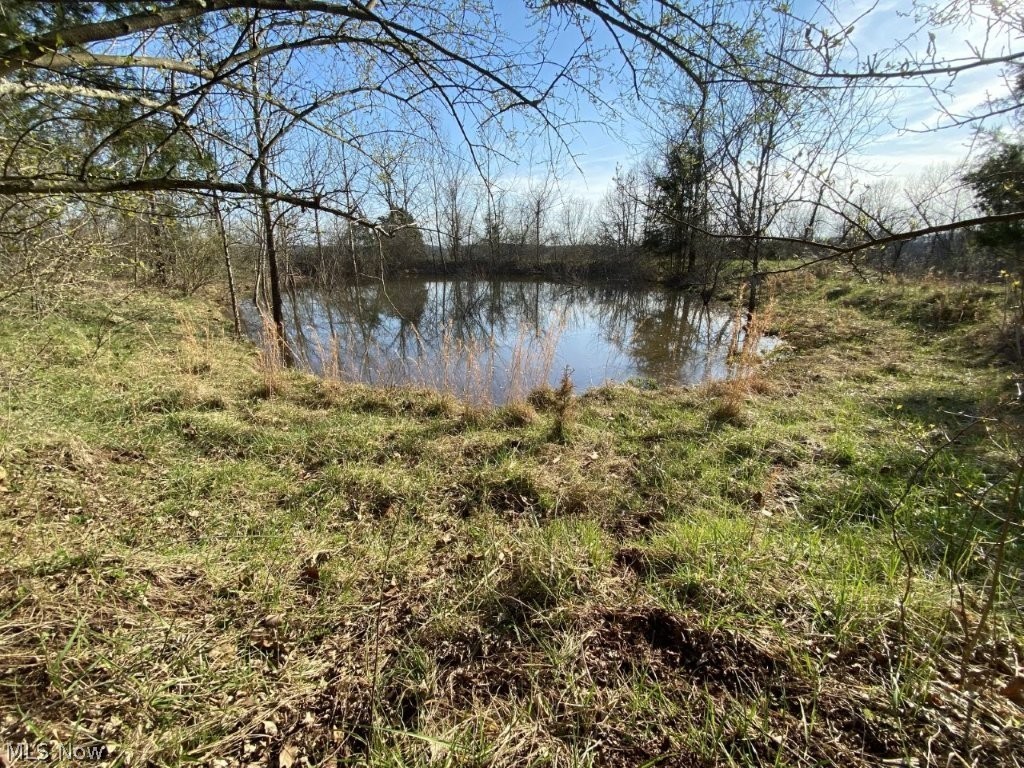 988 Young Lane Property Photo 34