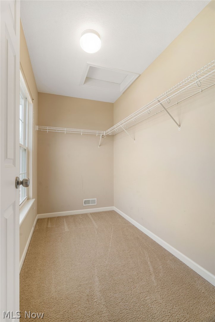 3196 Dunstone Circle Property Photo 30