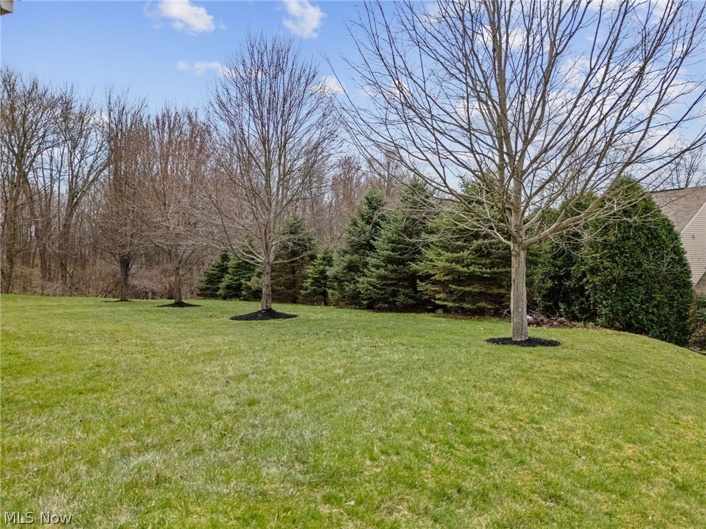 3196 Dunstone Circle Property Photo 49