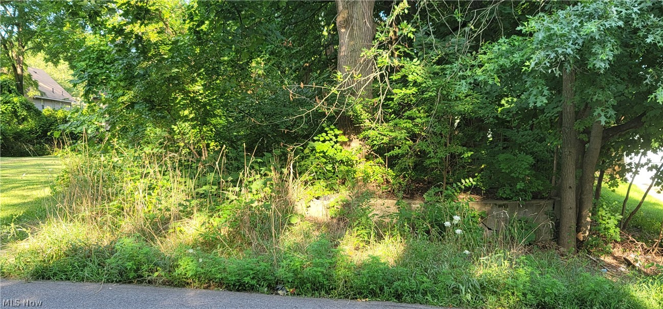 Garfield Street Property Photo 1