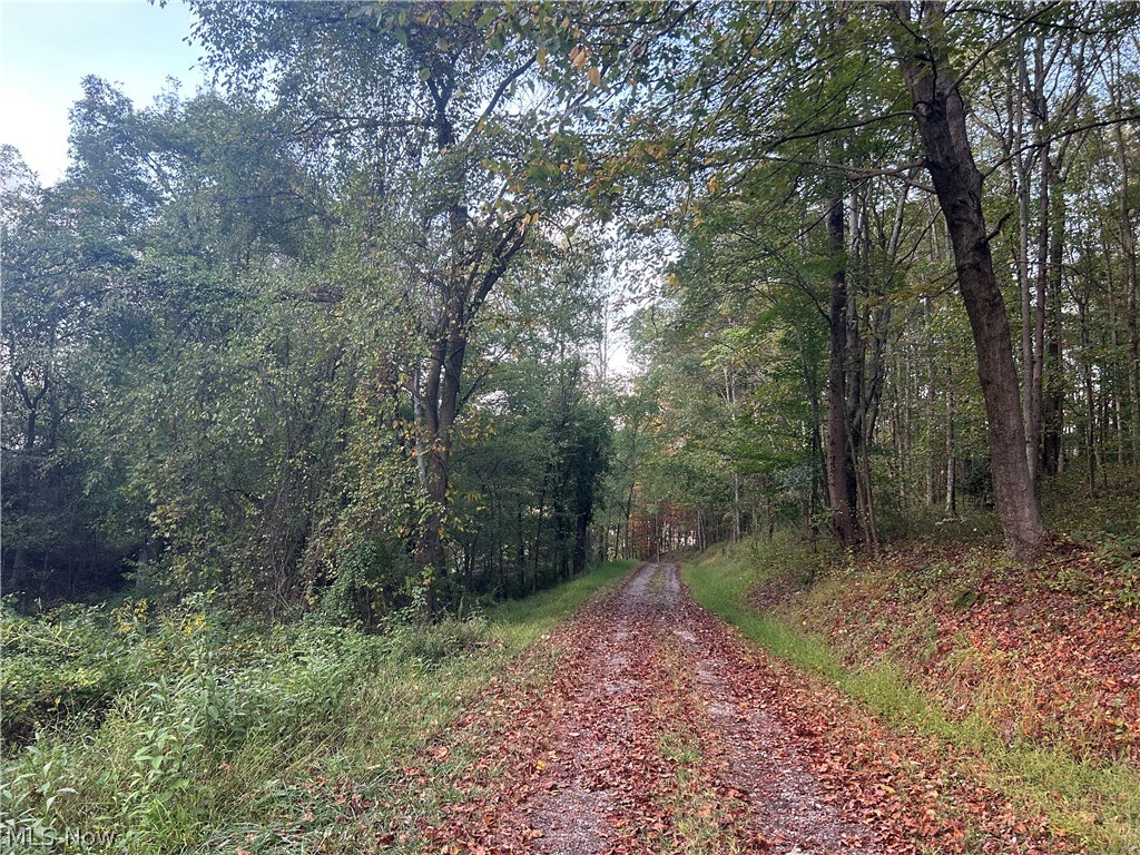 8188 Dozer Road Property Photo 8