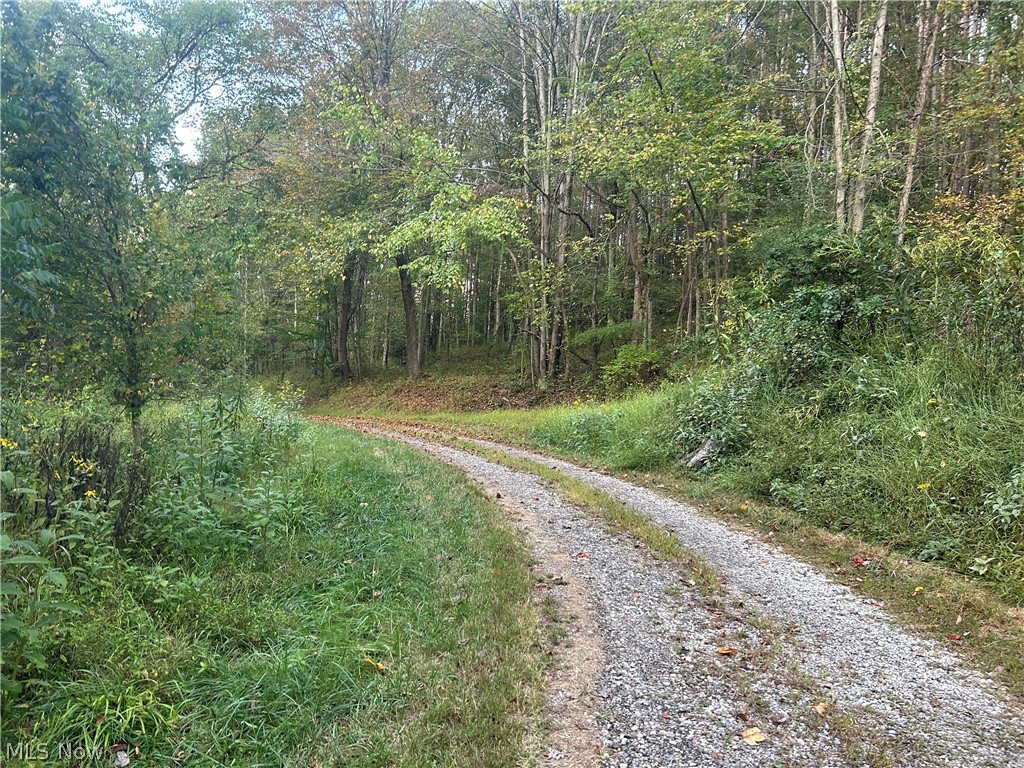 8188 Dozer Road Property Photo 9