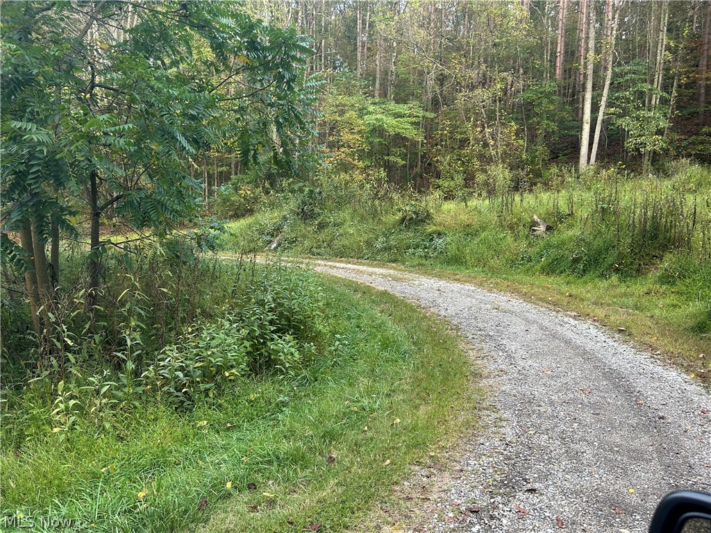 8188 Dozer Road Property Photo 10