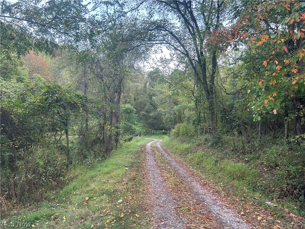 8188 Dozer Road Property Photo 11