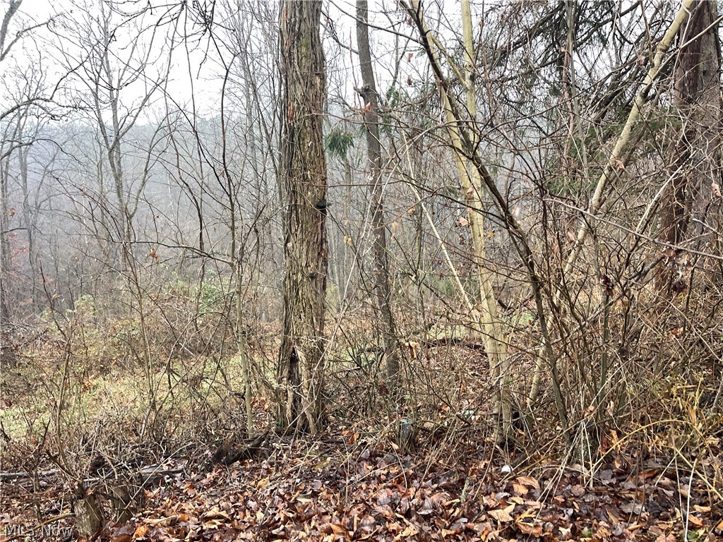 16 Woodcliff Acres Property Photo 1