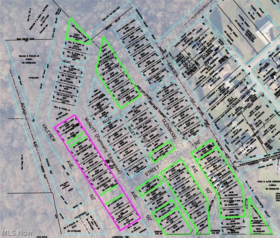 Mcnutt Avenue Property Photo 1