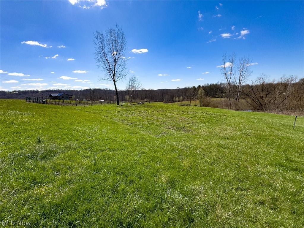 0 Shaver Road Property Photo 7