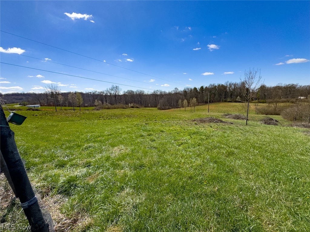 0 Shaver Road Property Photo 8