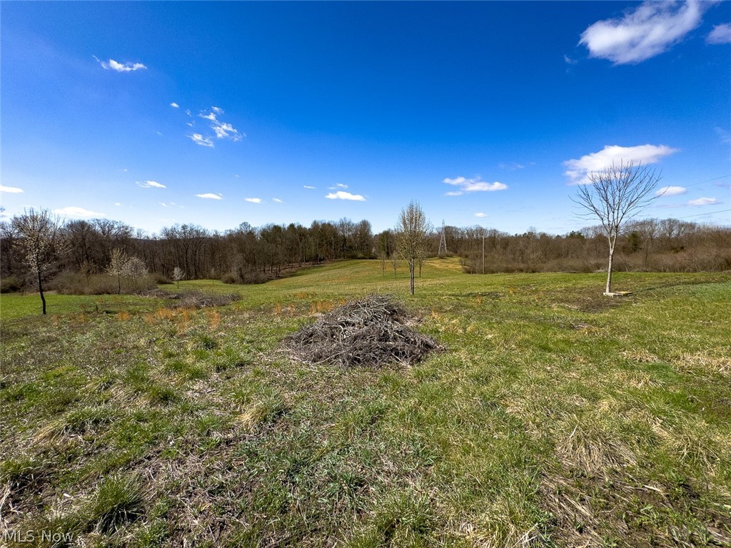 0 Shaver Road Property Photo 9