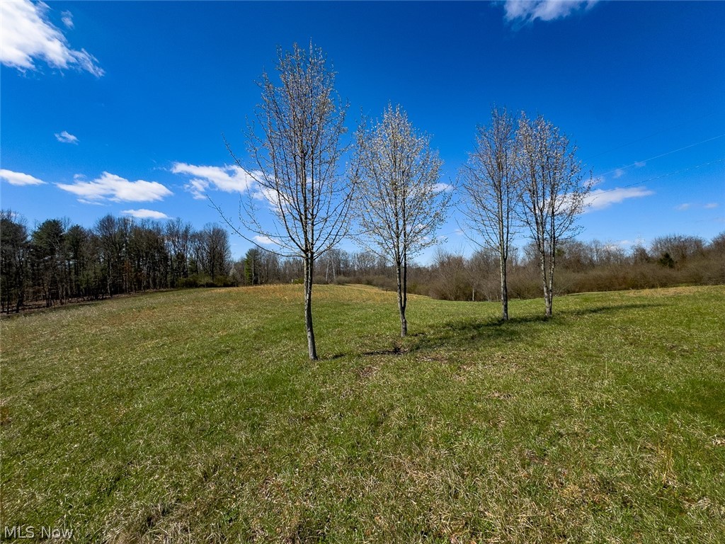 0 Shaver Road Property Photo 11