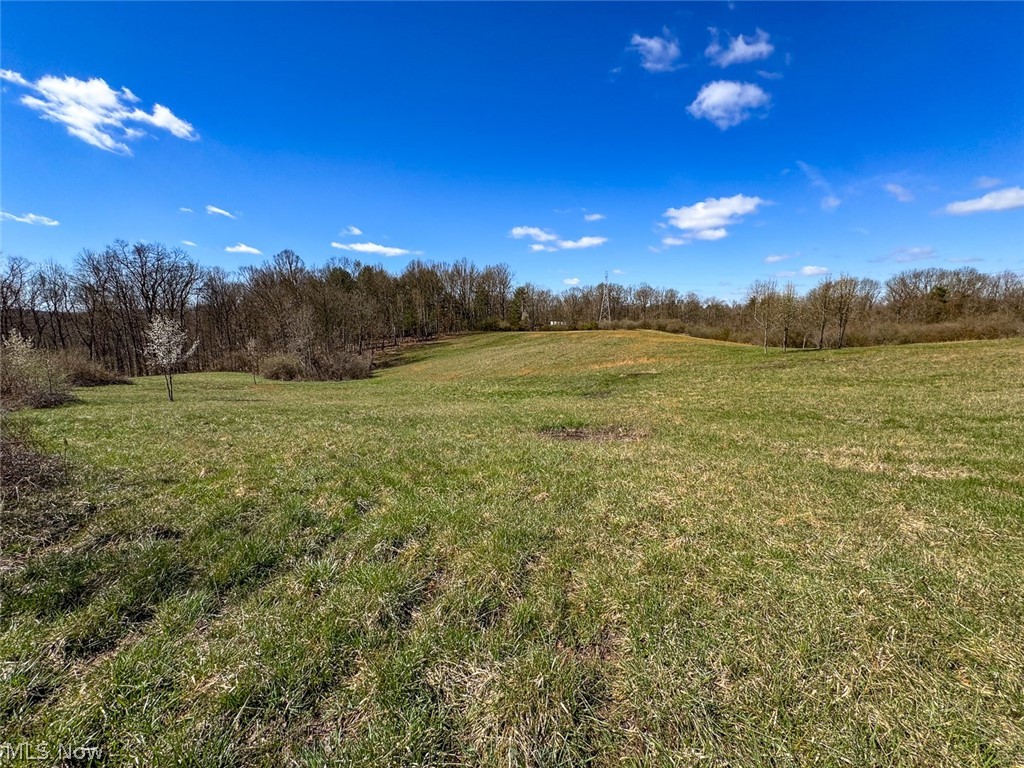 0 Shaver Road Property Photo 13