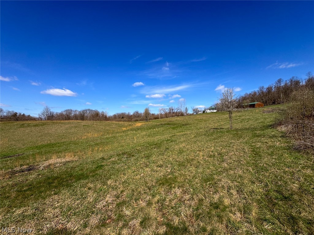 0 Shaver Road Property Photo 15