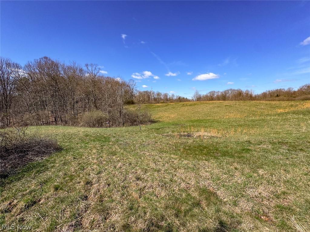 0 Shaver Road Property Photo 16