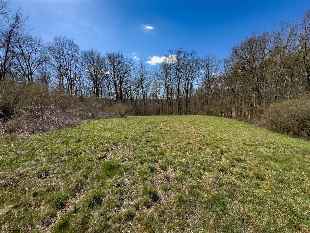 0 Shaver Road Property Photo 17