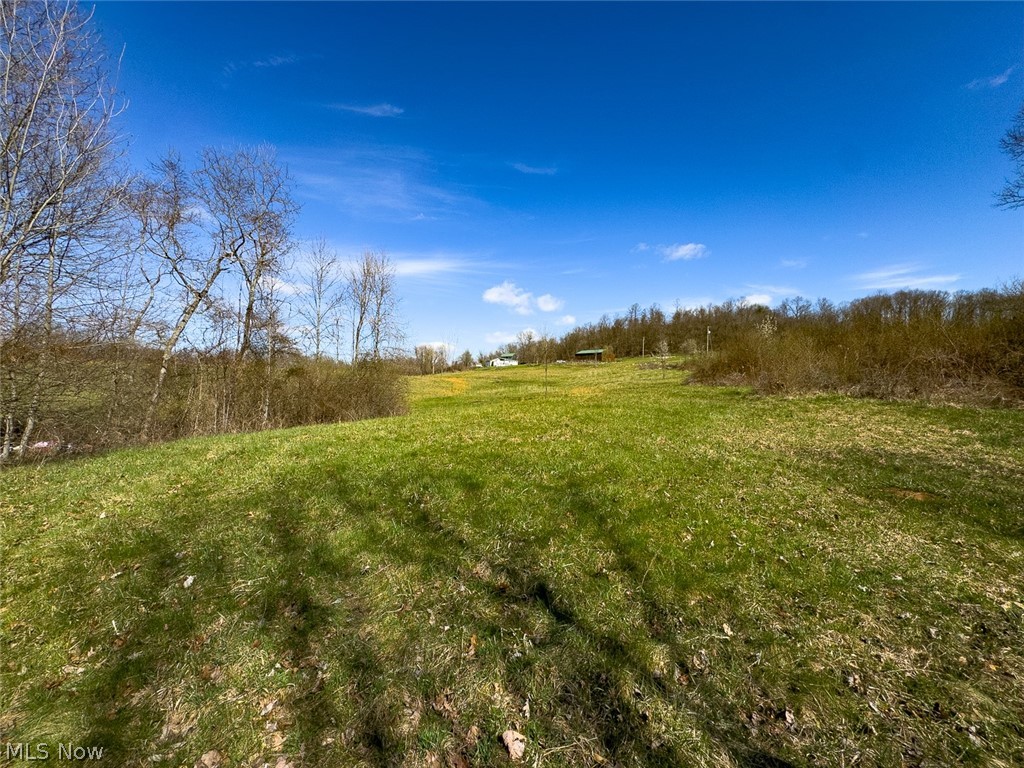 0 Shaver Road Property Photo 18