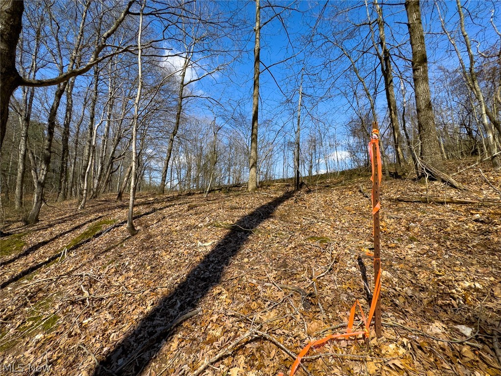 0 Shaver Road Property Photo 19