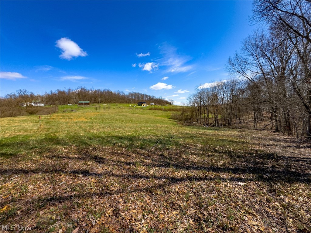 0 Shaver Road Property Photo 23