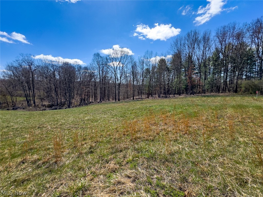 0 Shaver Road Property Photo 24