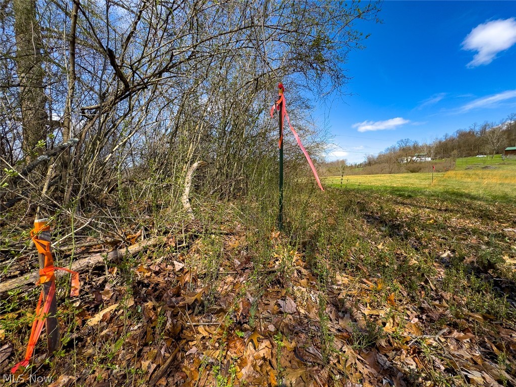 0 Shaver Road Property Photo 25