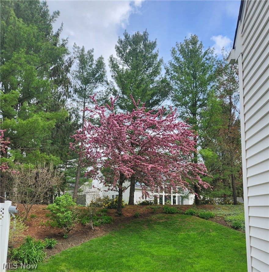 985 Goldenrod Trail Property Photo 42