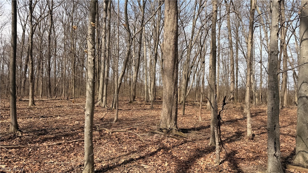 Us-20 Property Photo 11