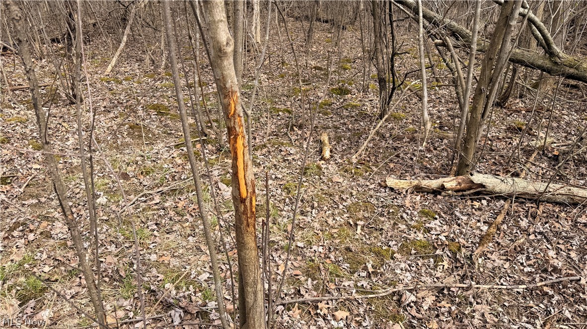 Us-20 Property Photo 12