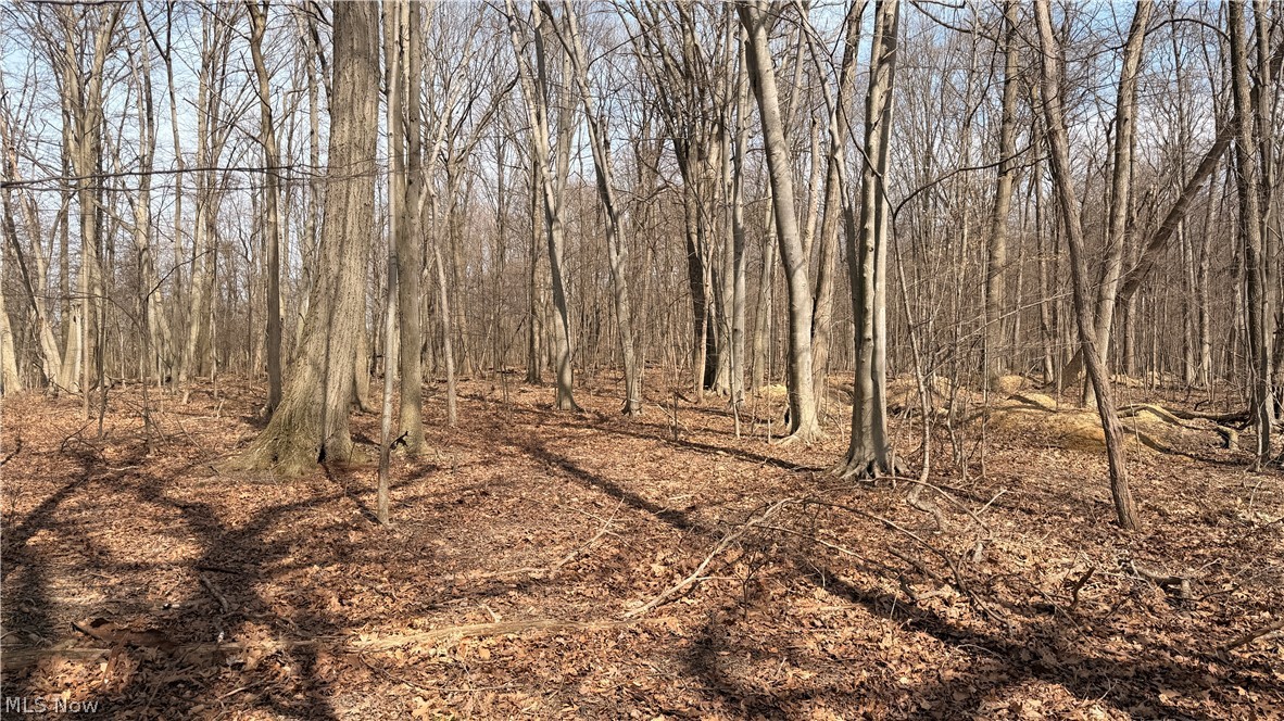 Us-20 Property Photo 13
