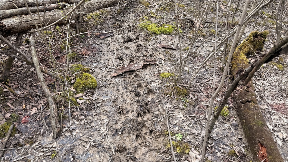 Us-20 Property Photo 16