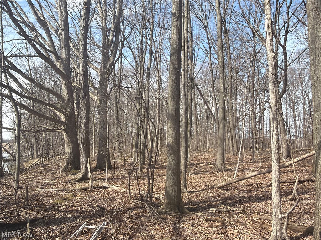 Us-20 Property Photo 17