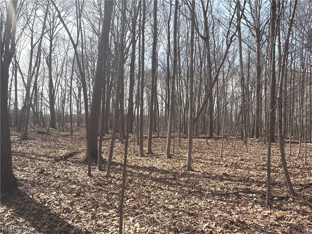 Us-20 Property Photo 18
