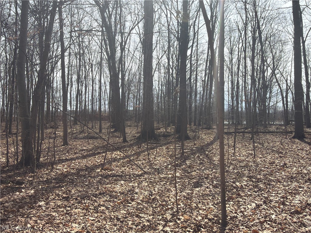 Us-20 Property Photo 19