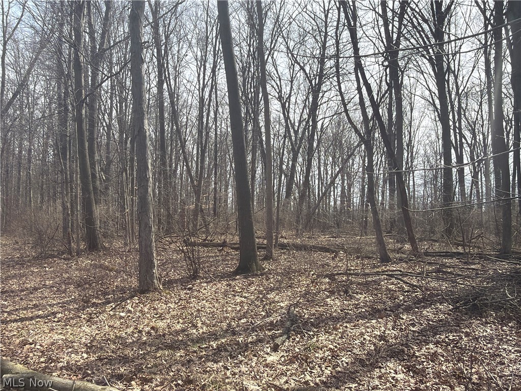 Us-20 Property Photo 20