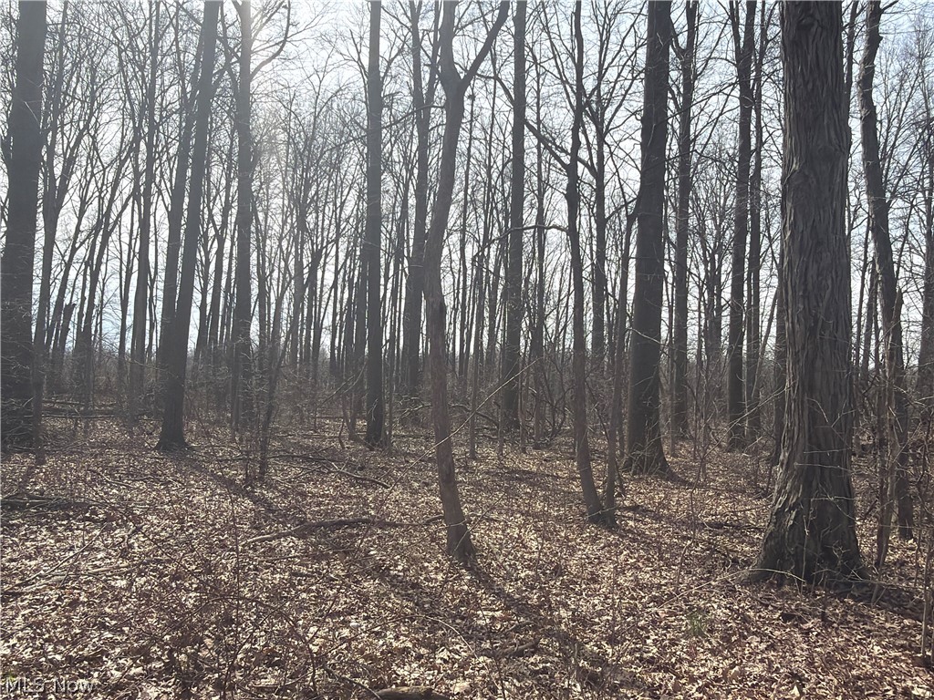 Us-20 Property Photo 21
