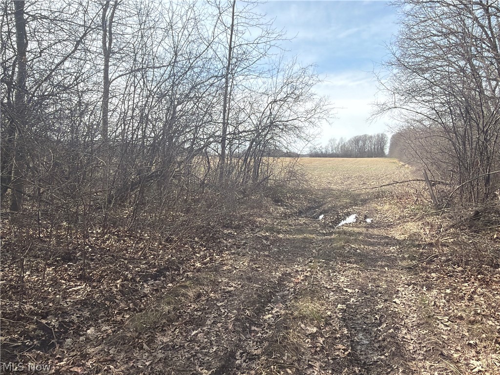 Us-20 Property Photo 22