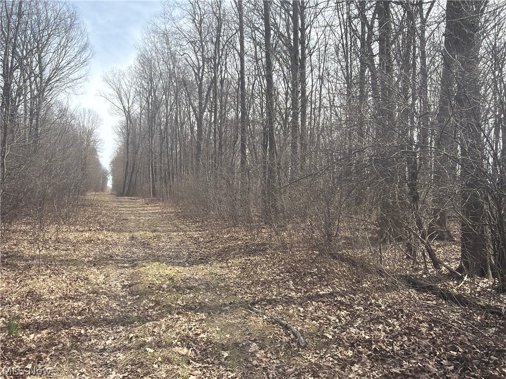 Us-20 Property Photo 23