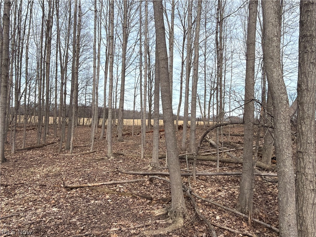 Us-20 Property Photo 34