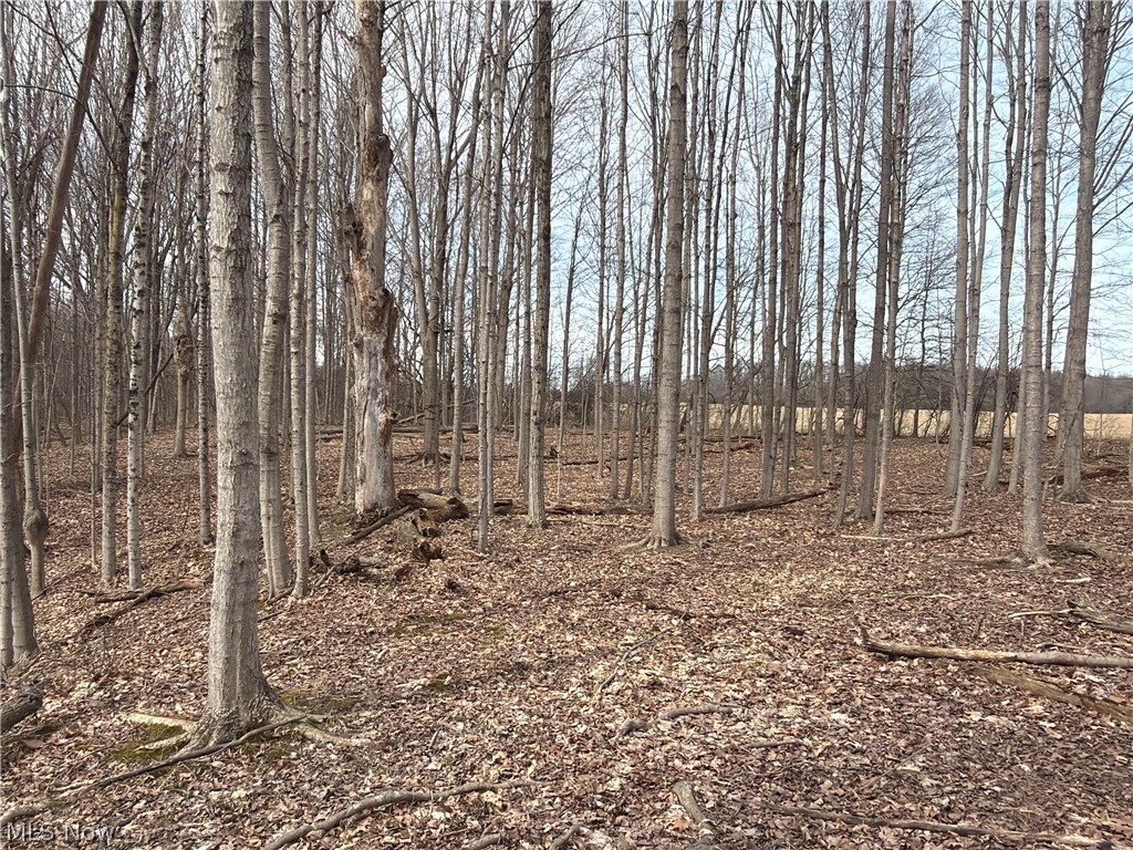 Us-20 Property Photo 36